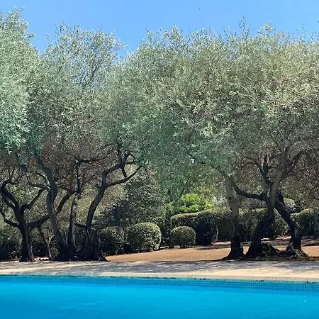 Villa Neptune Romaine